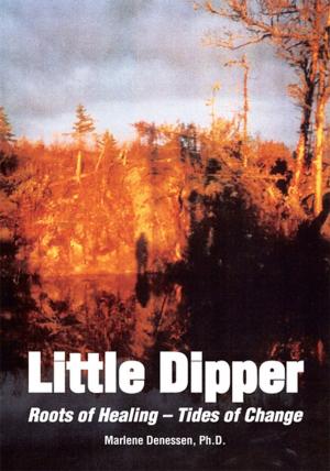 Cover of the book Little Dipper by Rabbi Daniel Kohn