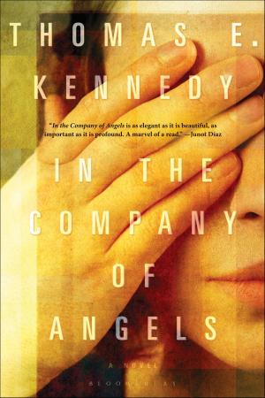 Cover of the book In the Company of Angels by Joseph O'Connor, Andrea Lages