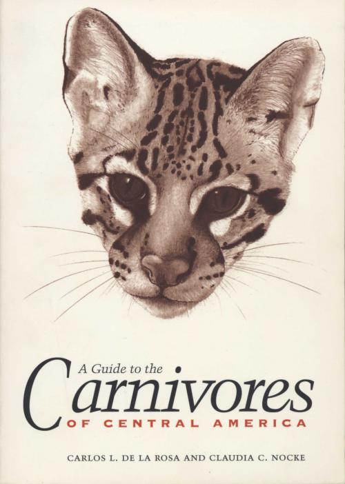 Cover of the book A Guide to the Carnivores of Central America by Carlos L. de la Rosa, Claudia C. Nocke, University of Texas Press