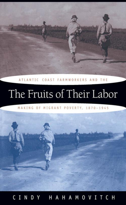Cover of the book The Fruits of Their Labor by Cindy Hahamovitch, The University of North Carolina Press
