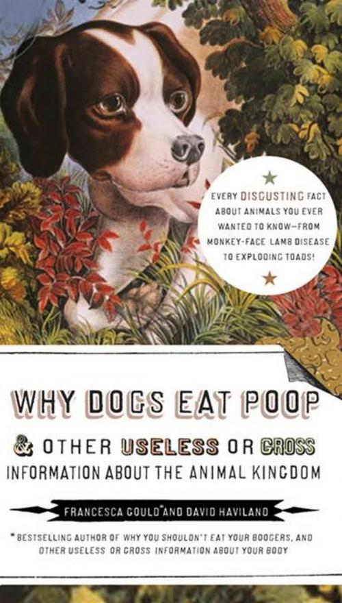 Cover of the book Why Dogs Eat Poop, and Other Useless or Gross Information About the Animal Kingdom by Francesca Gould, David Haviland, Penguin Publishing Group