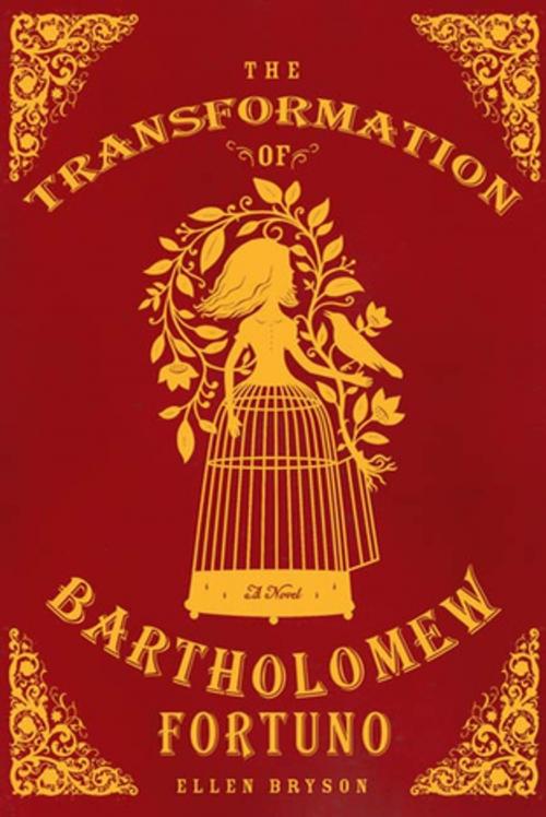 Cover of the book The Transformation of Bartholomew Fortuno by Ellen Bryson, Henry Holt and Co.