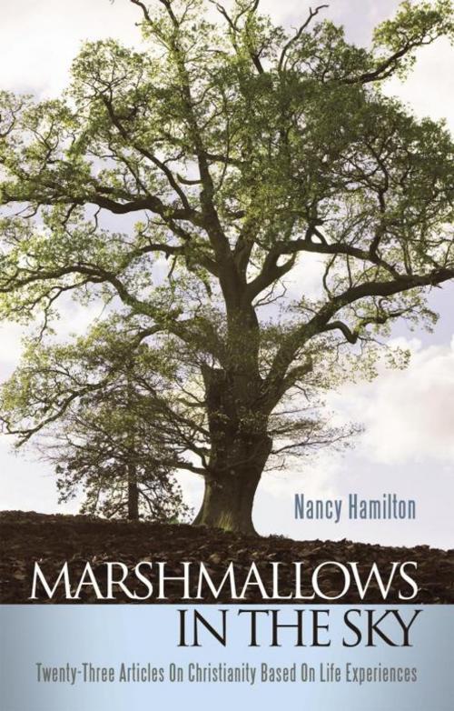 Cover of the book Marshmallows in the Sky by Nancy Hamilton, WestBow Press