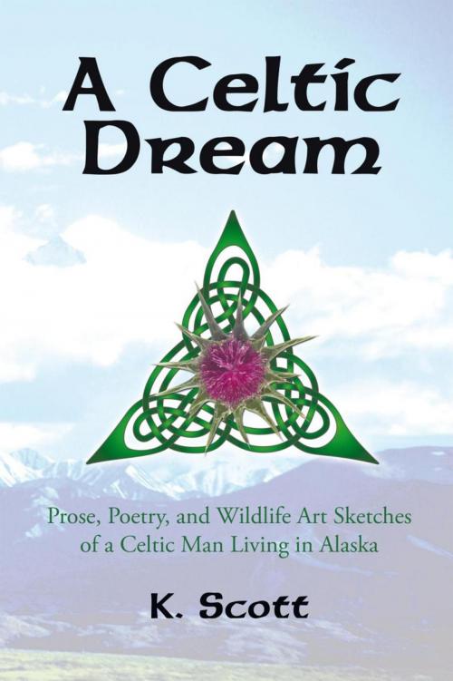 Cover of the book A Celtic Dream by K. Scott, iUniverse