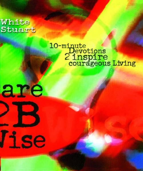 Cover of the book Dare 2B Wise by Joe White, Howard Books