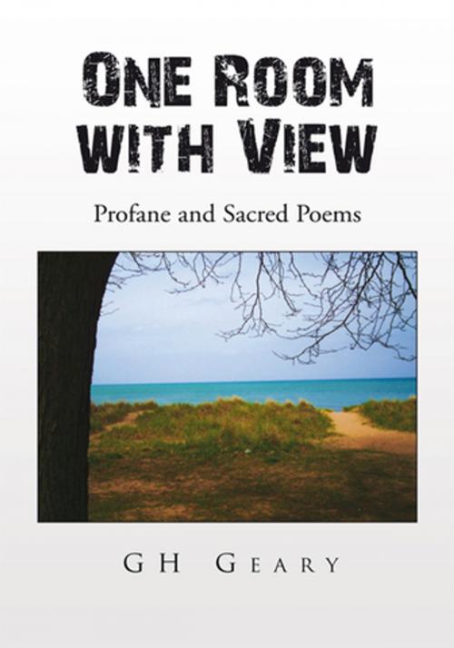 Cover of the book One Room with View by Russell Joseph Geary, Xlibris US