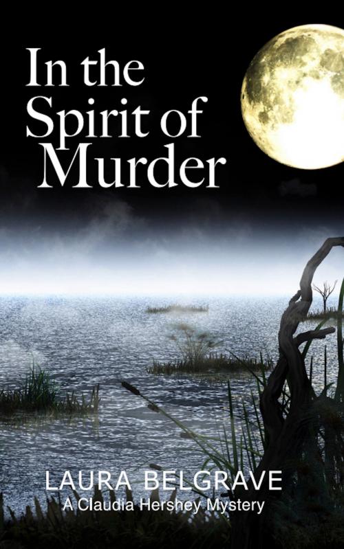Cover of the book In the Spirit of Murder by Laura Belgrave, Misty Mountain Productions