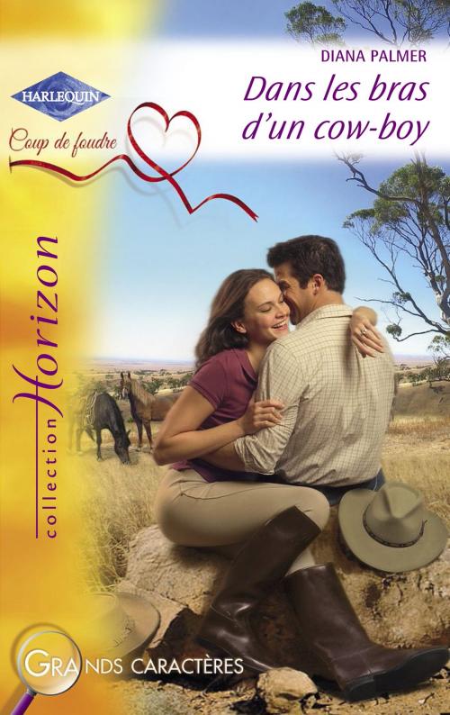 Cover of the book Dans les bras d'un cow-boy (Harlequin Horizon) by Diana Palmer, Harlequin