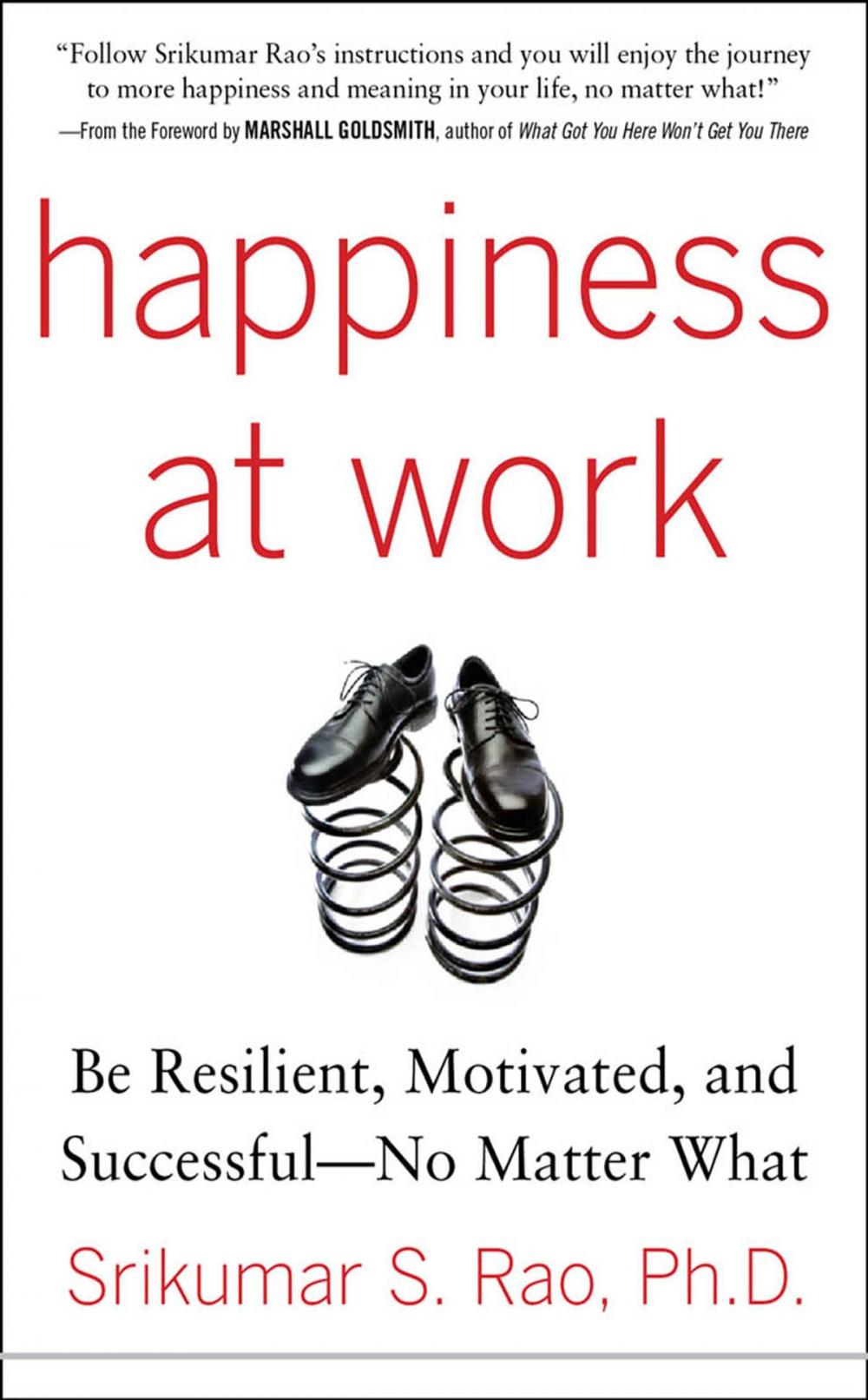 Big bigCover of Happiness at Work: Be Resilient, Motivated, and Successful - No Matter What