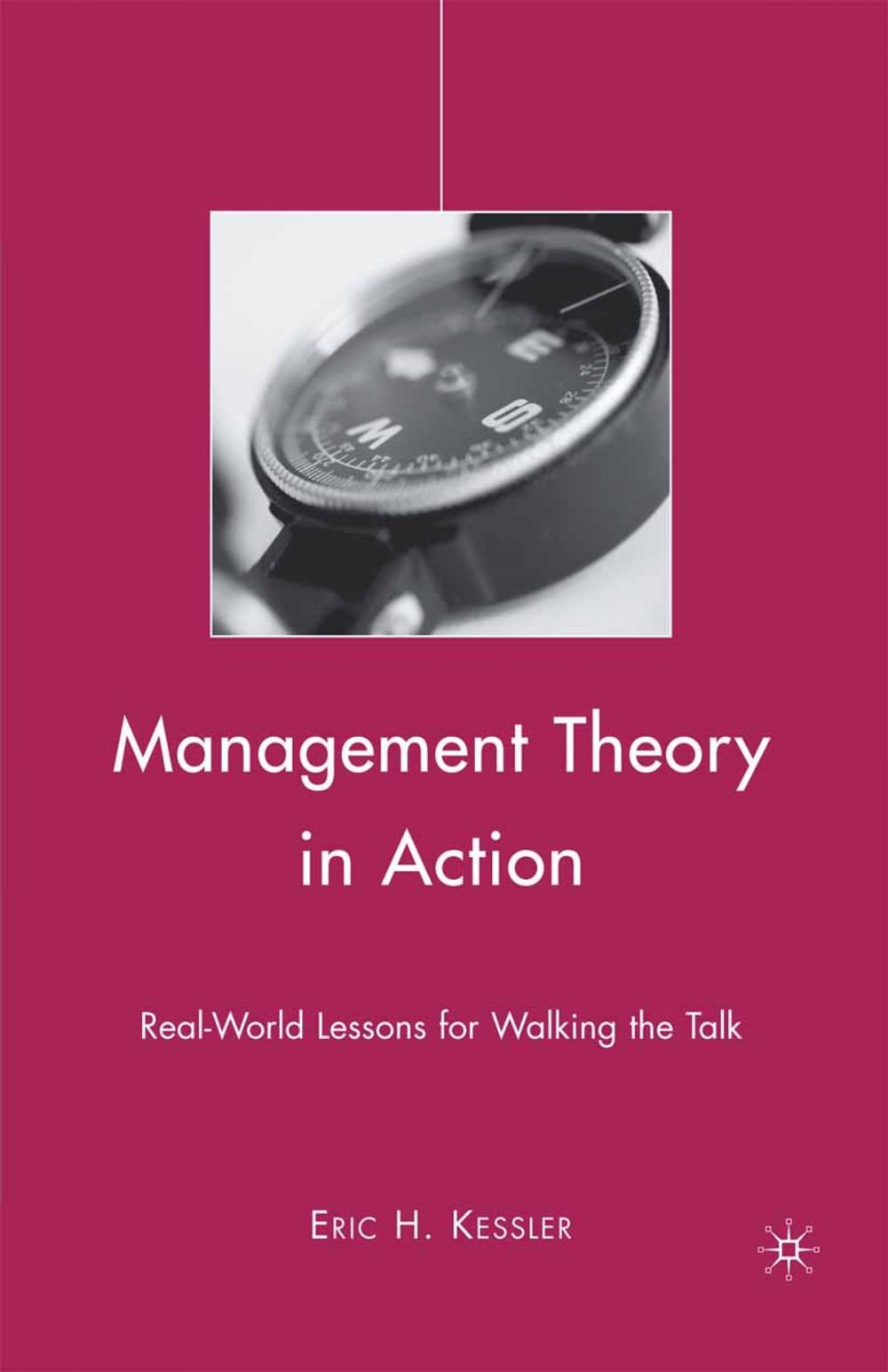Big bigCover of Management Theory in Action