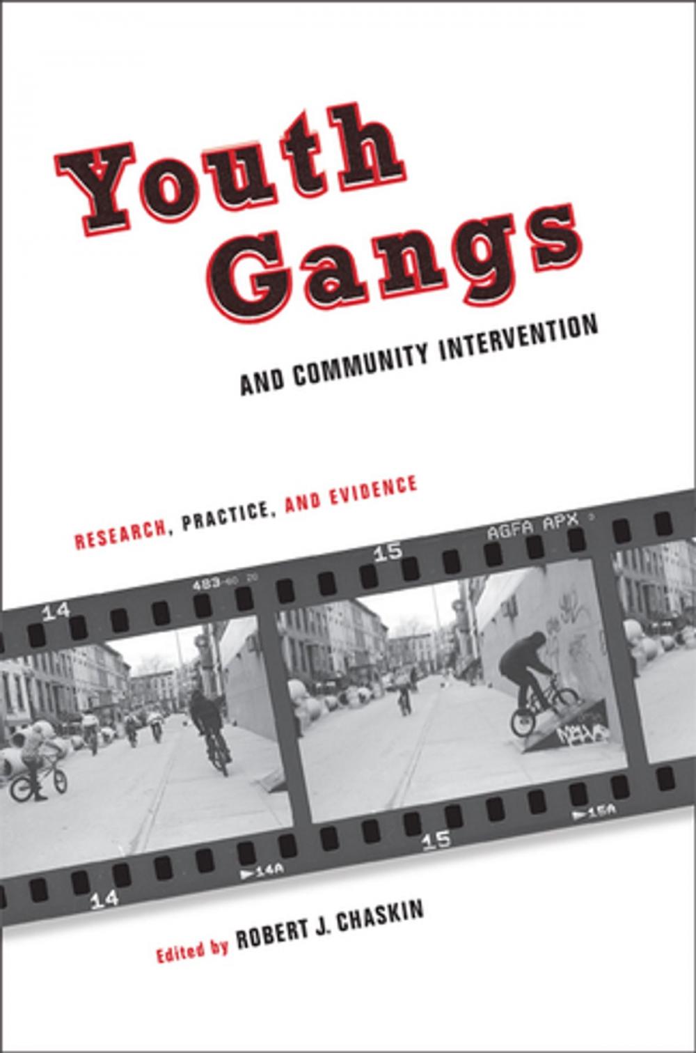Big bigCover of Youth Gangs and Community Intervention