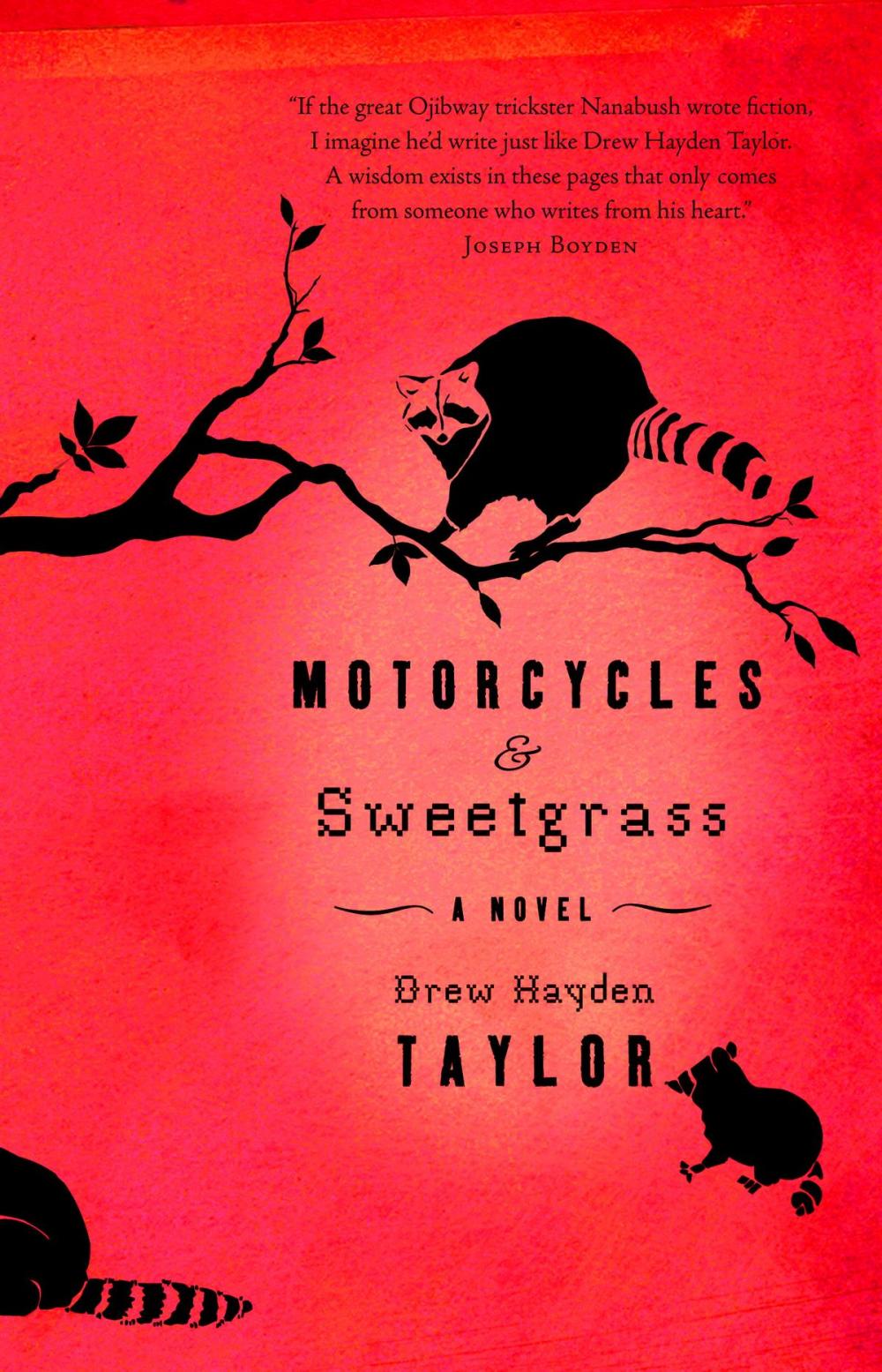 Big bigCover of Motorcycles & Sweetgrass