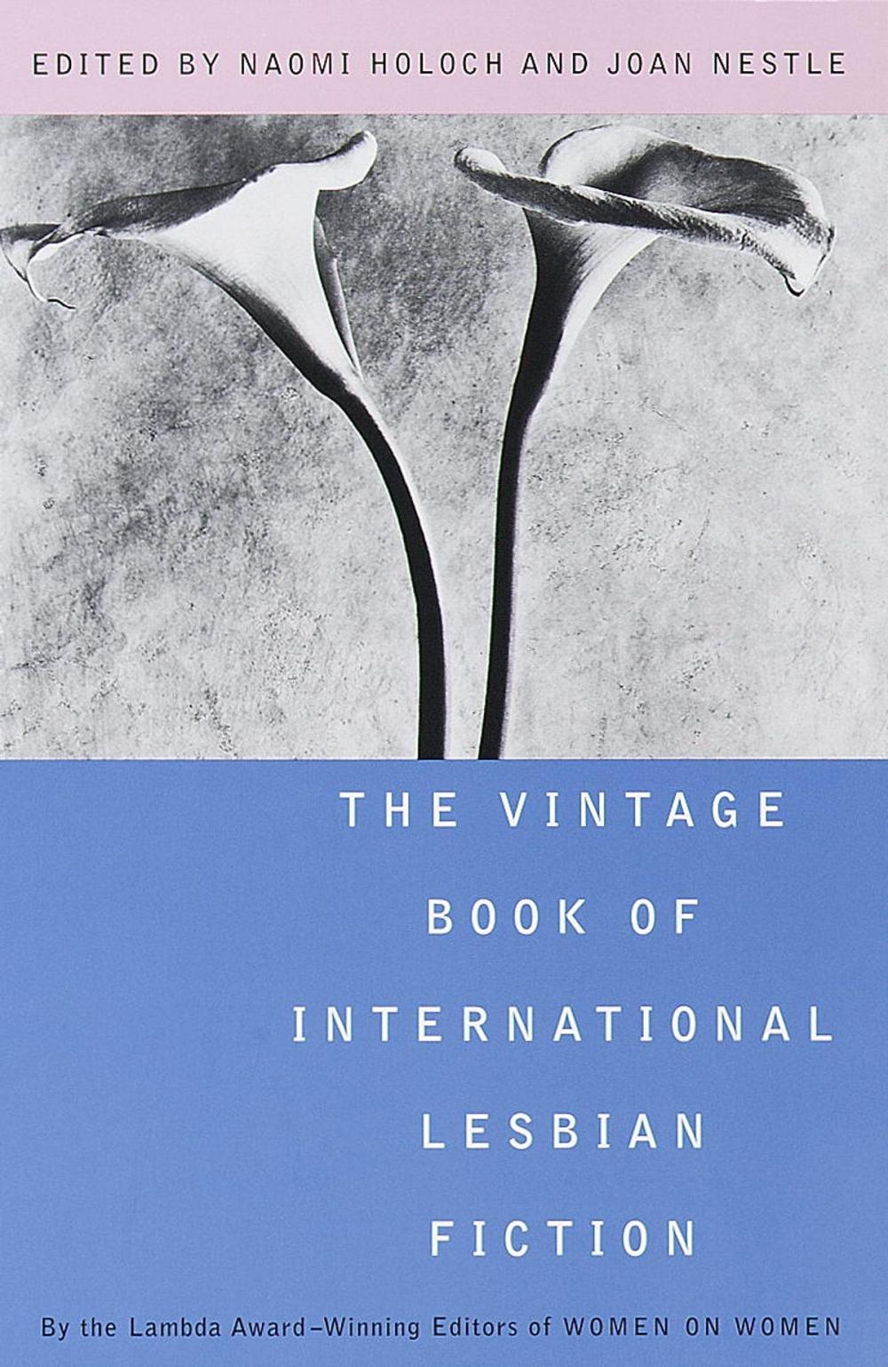 Big bigCover of The Vintage Book of International Lesbian Fiction