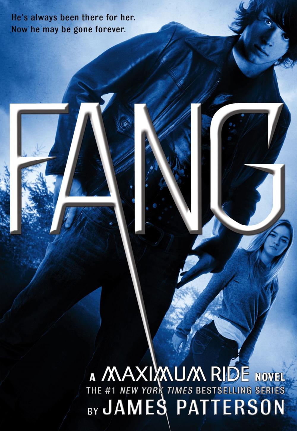 Big bigCover of Fang