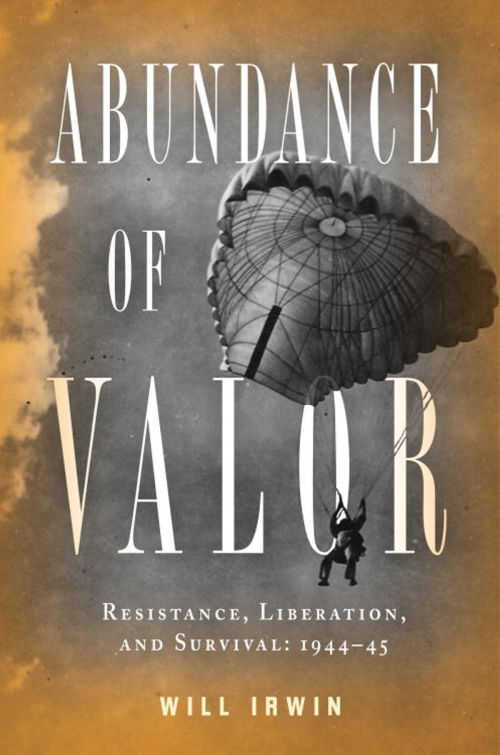 Big bigCover of Abundance of Valor