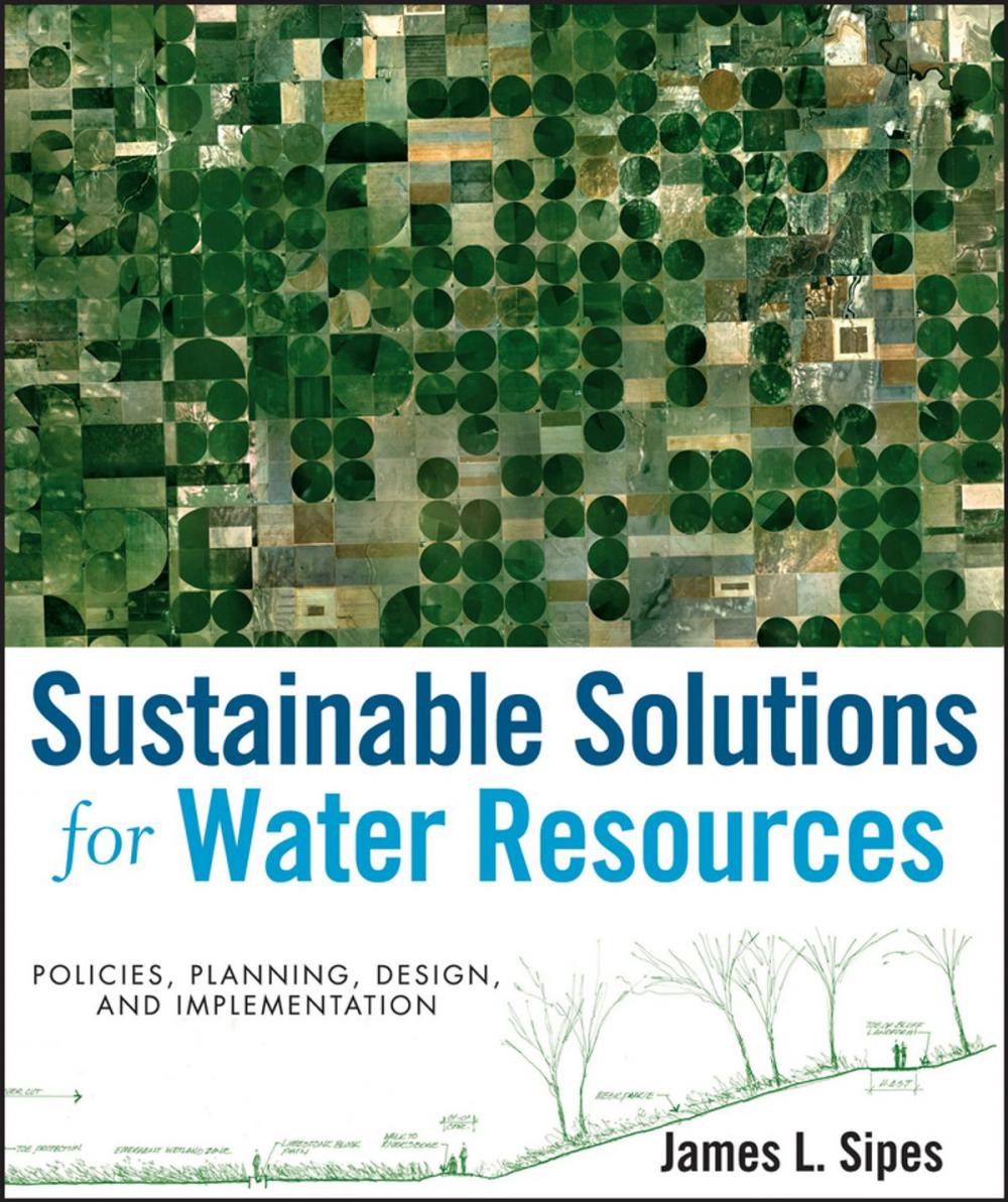 Big bigCover of Sustainable Solutions for Water Resources