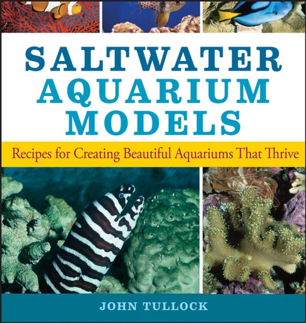 Big bigCover of Saltwater Aquarium Models