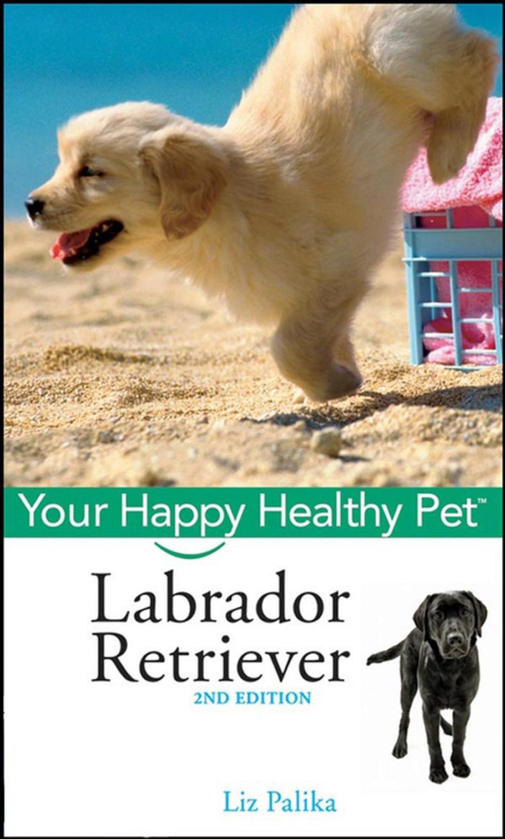 Big bigCover of Labrador Retriever, with DVD