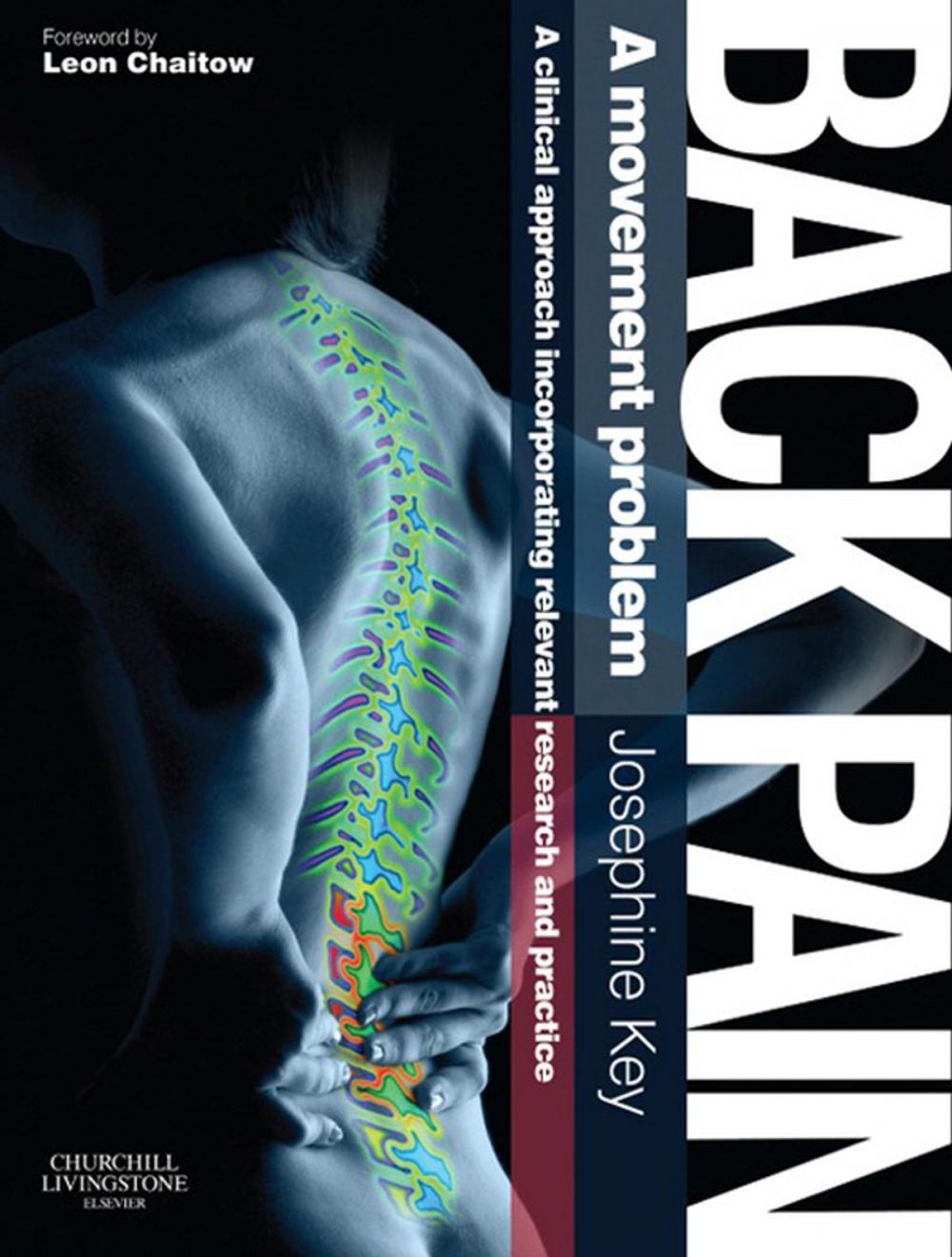 Big bigCover of Back Pain - A Movement Problem E-Book