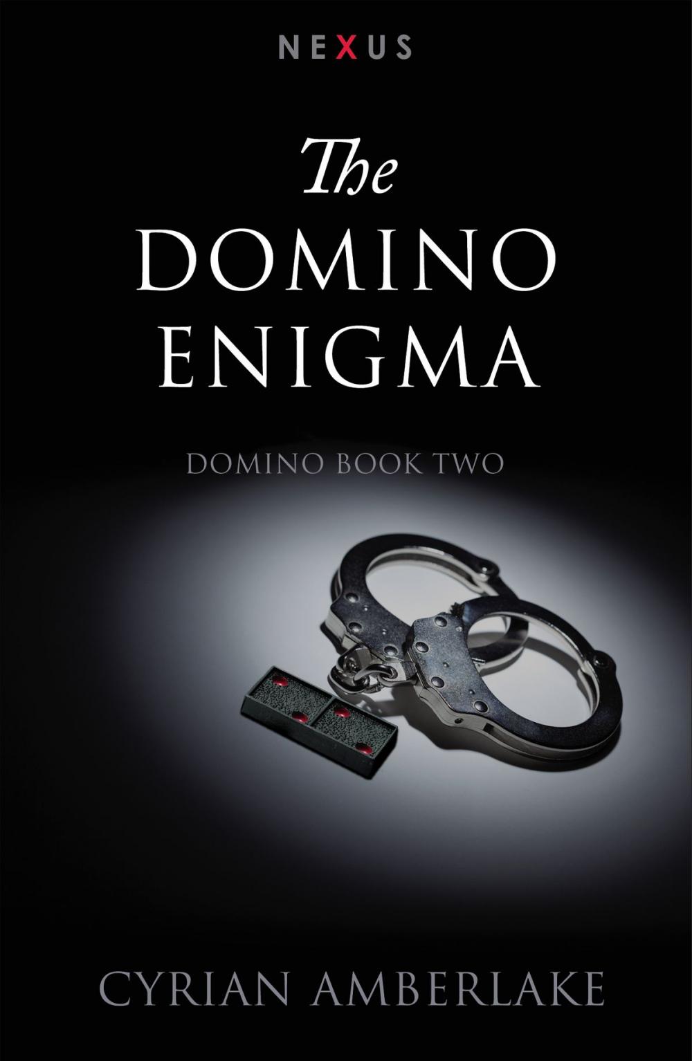 Big bigCover of The Domino Enigma