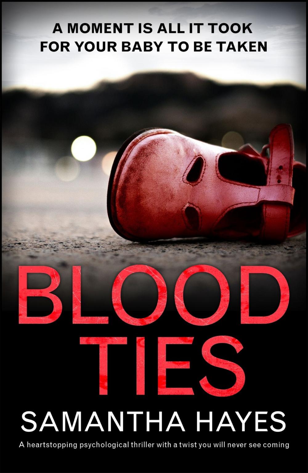 Big bigCover of Blood Ties: A heartstopping psychological thriller with a twist you will never see coming