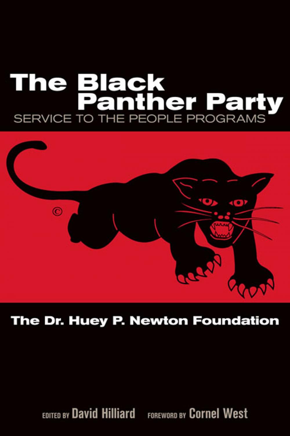 Big bigCover of The Black Panther Party