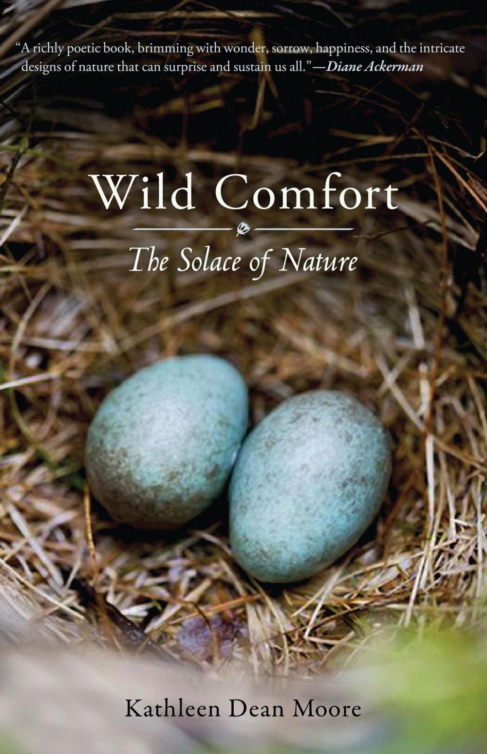 Big bigCover of Wild Comfort