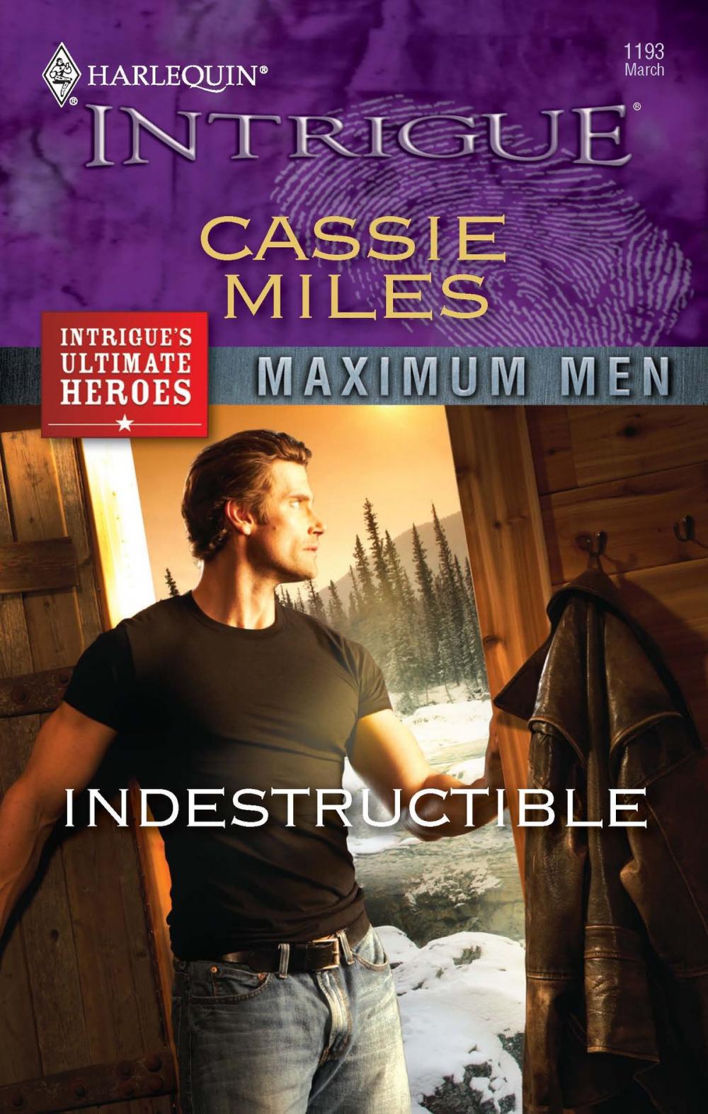 Big bigCover of Indestructible