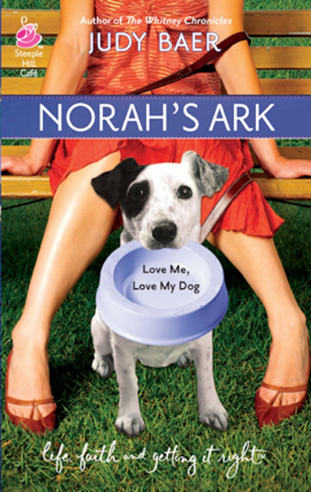 Big bigCover of Norah's Ark