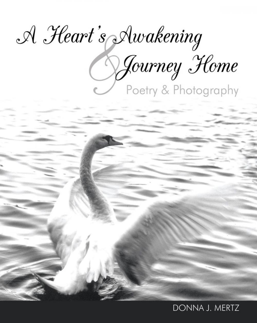 Big bigCover of A Heart's Awakening & Journey Home