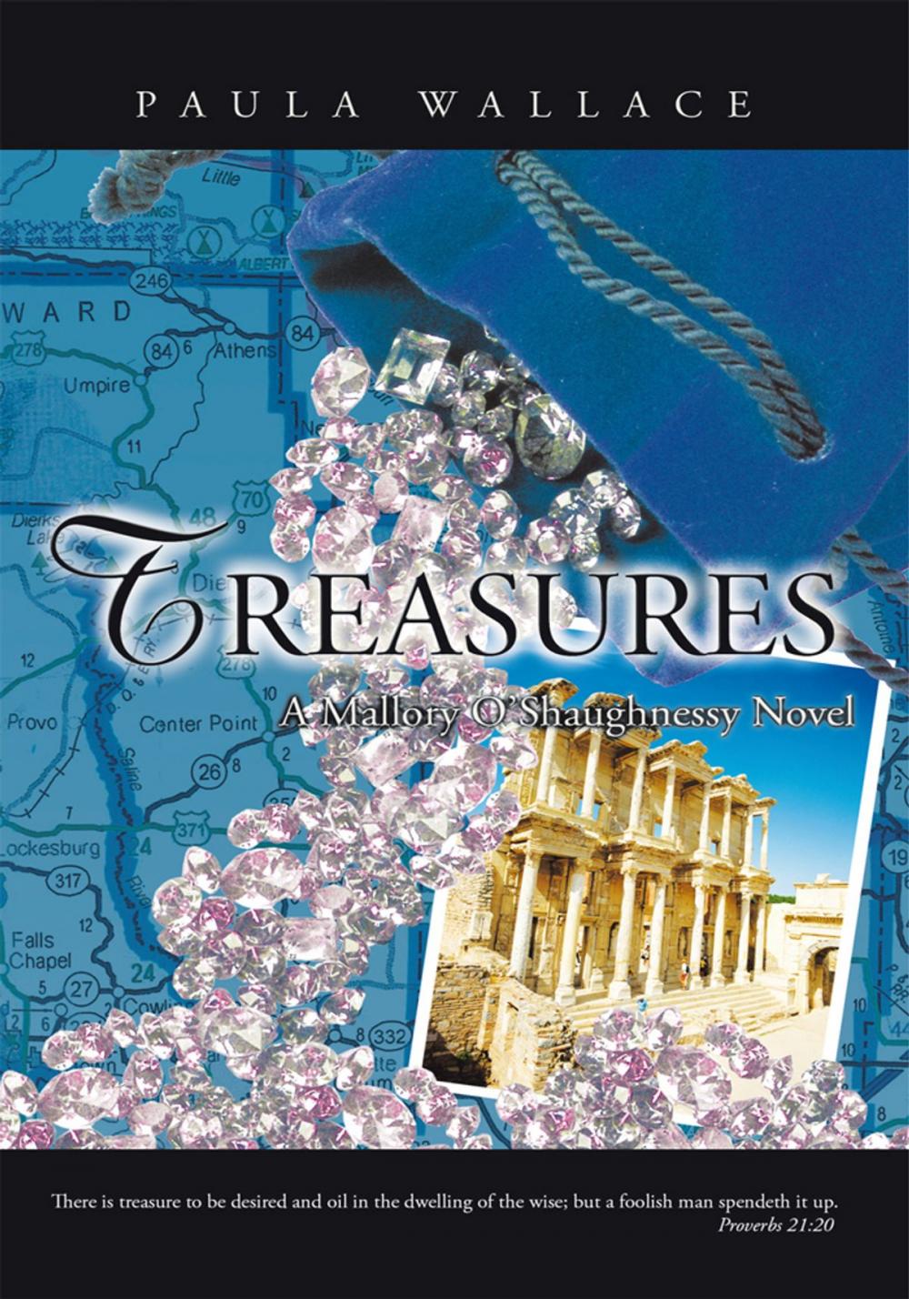 Big bigCover of Treasures: a Mallory O’Shaughnessy Novel