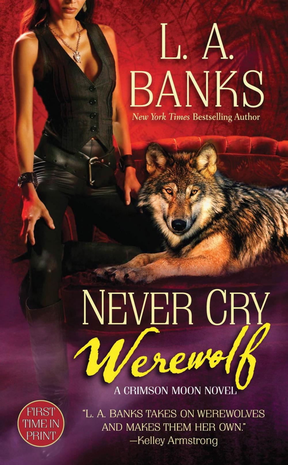 Big bigCover of Never Cry Werewolf