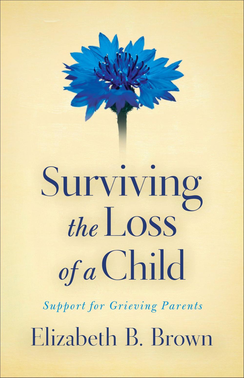 Big bigCover of Surviving the Loss of a Child