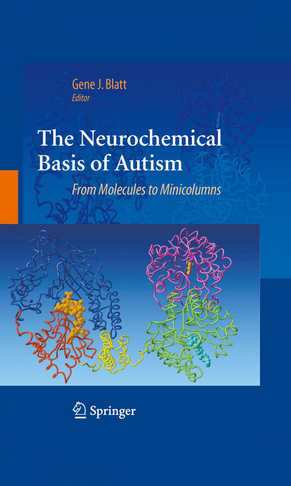 Big bigCover of The Neurochemical Basis of Autism