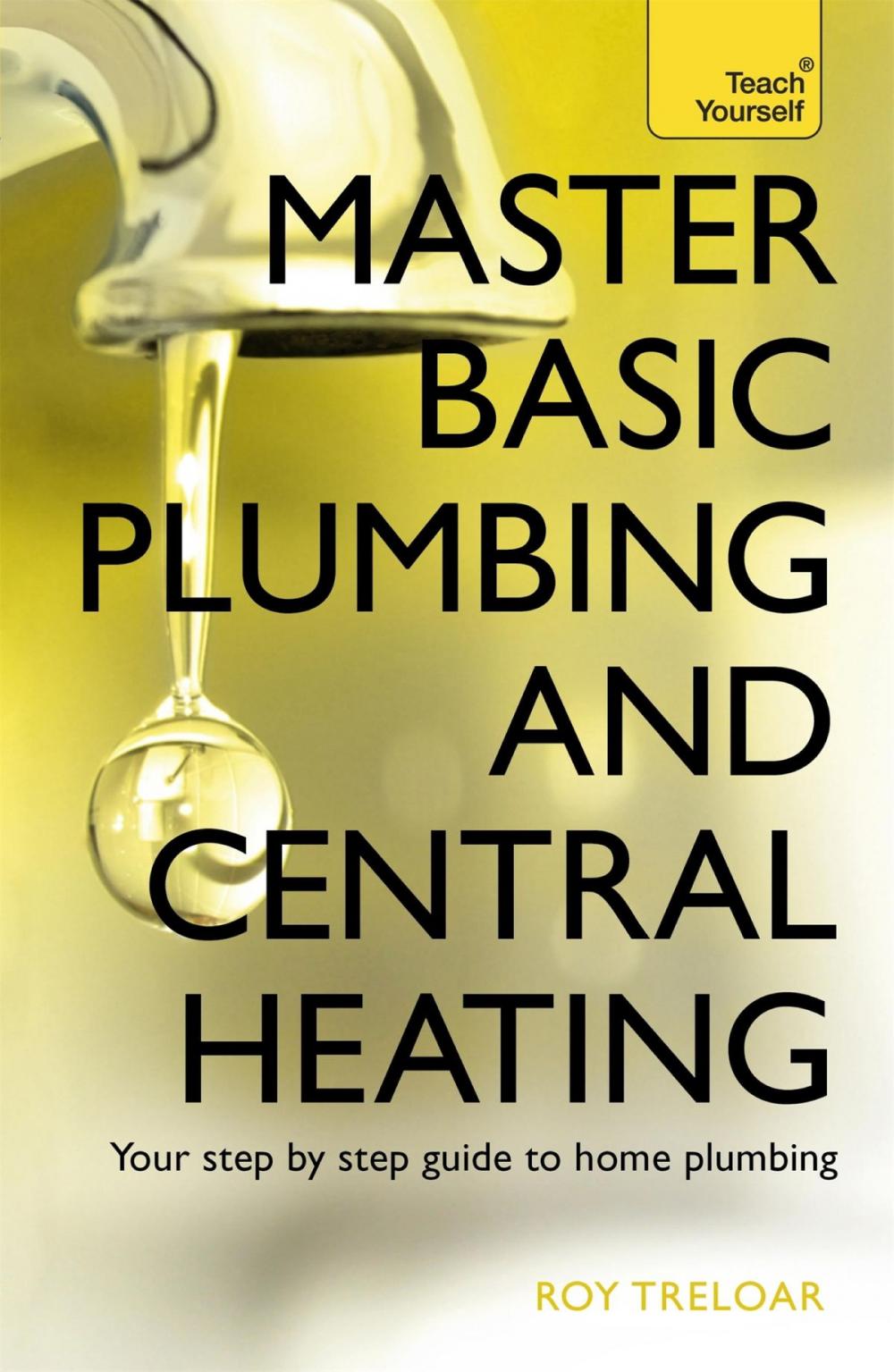 Big bigCover of Master Basic Plumbing And Central Heating