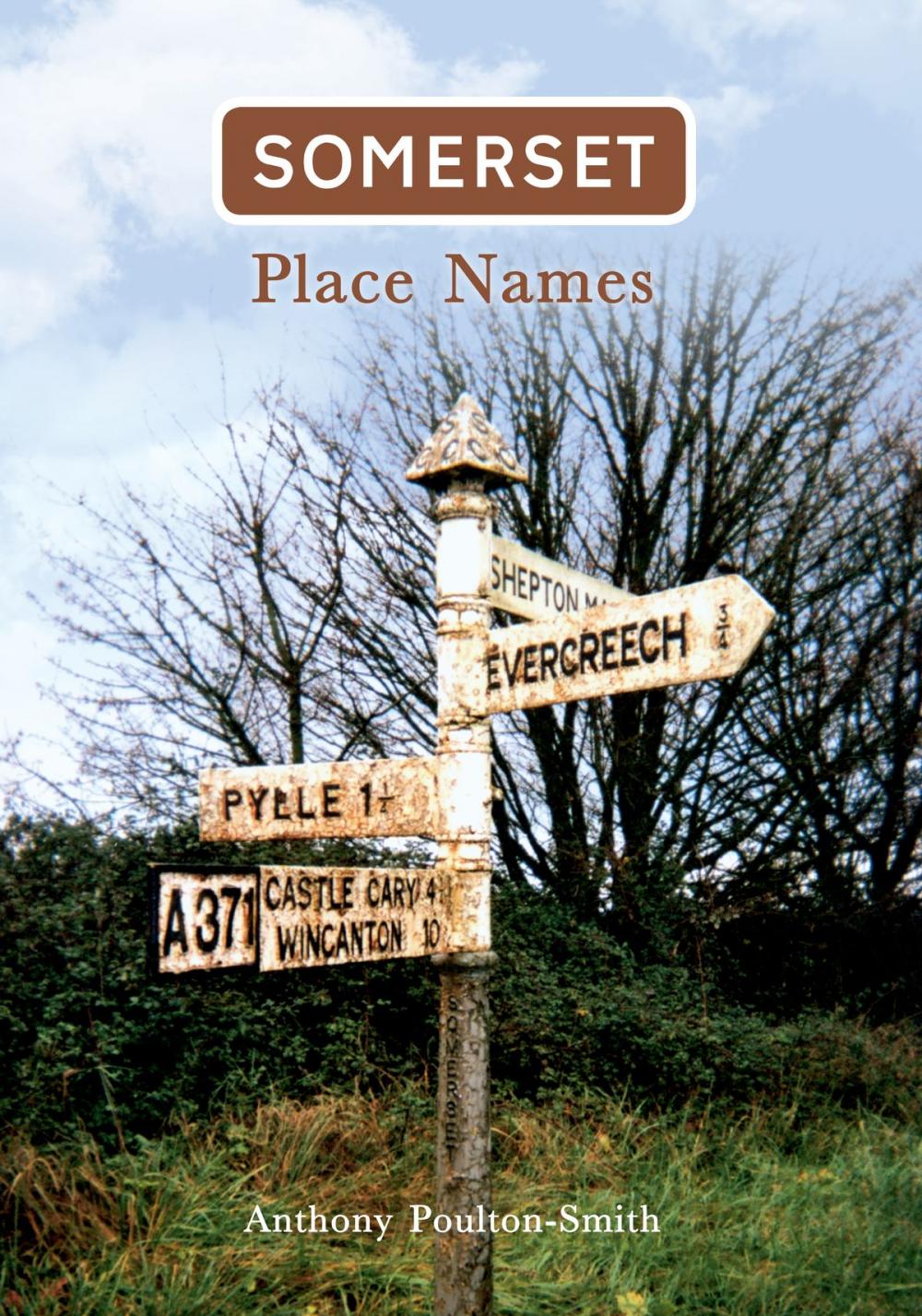 Big bigCover of Somerset Place Names