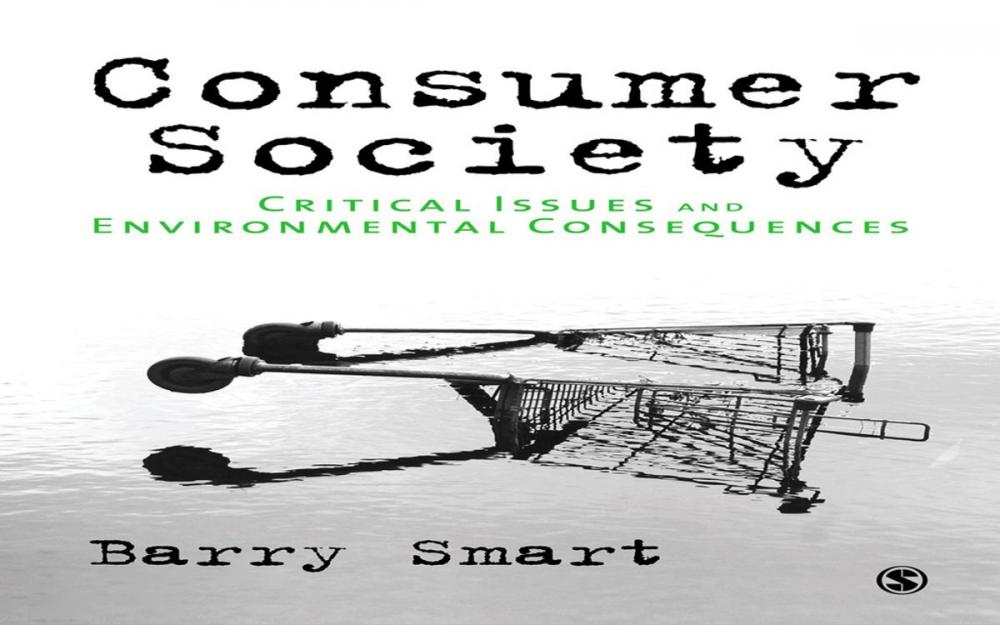 Big bigCover of Consumer Society