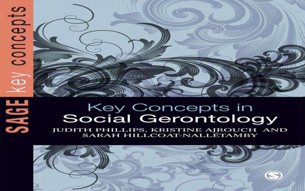 Big bigCover of Key Concepts in Social Gerontology