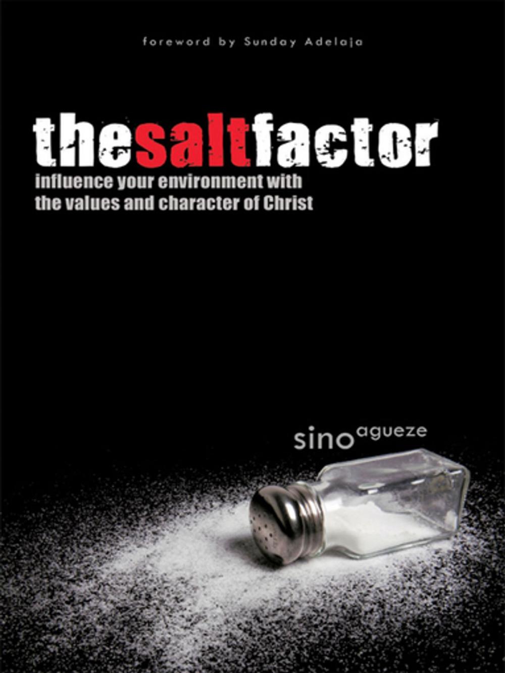 Big bigCover of The Salt Factor