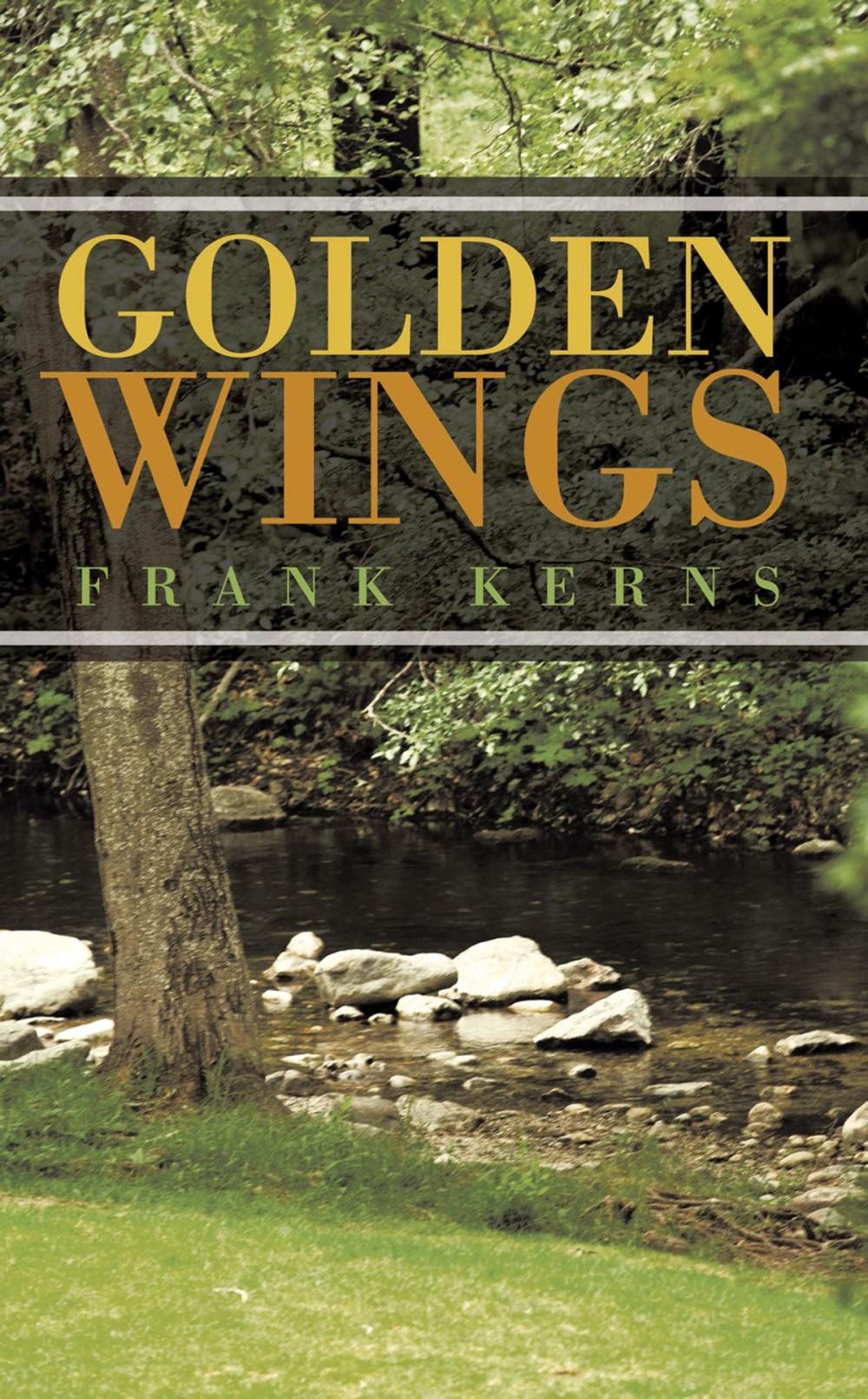 Big bigCover of Golden Wings