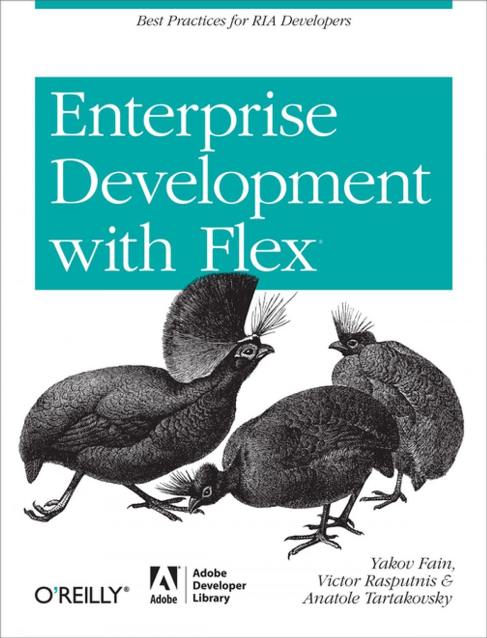 Big bigCover of Enterprise Development with Flex