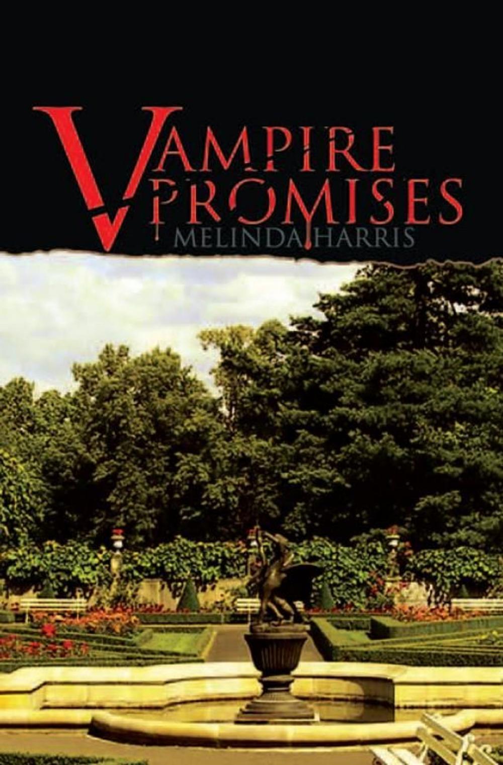 Big bigCover of Vampire Promises