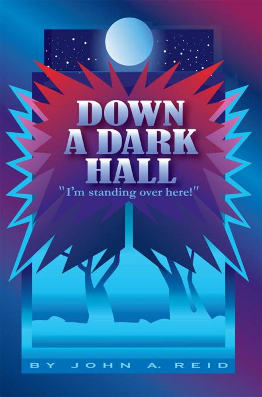 Big bigCover of Down a Dark Hall