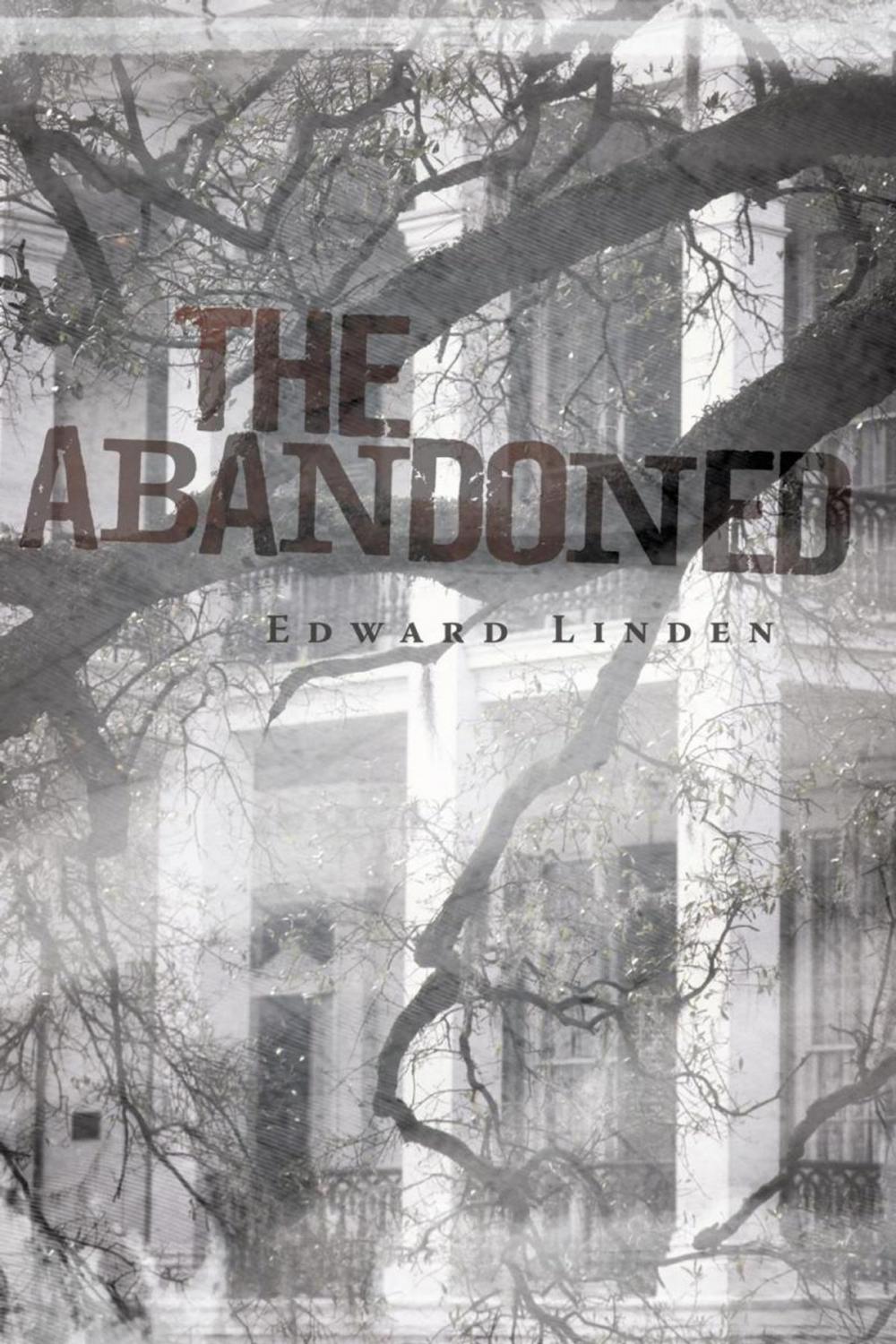 Big bigCover of The Abandoned