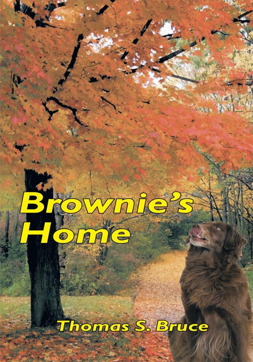 Big bigCover of Brownie's Home