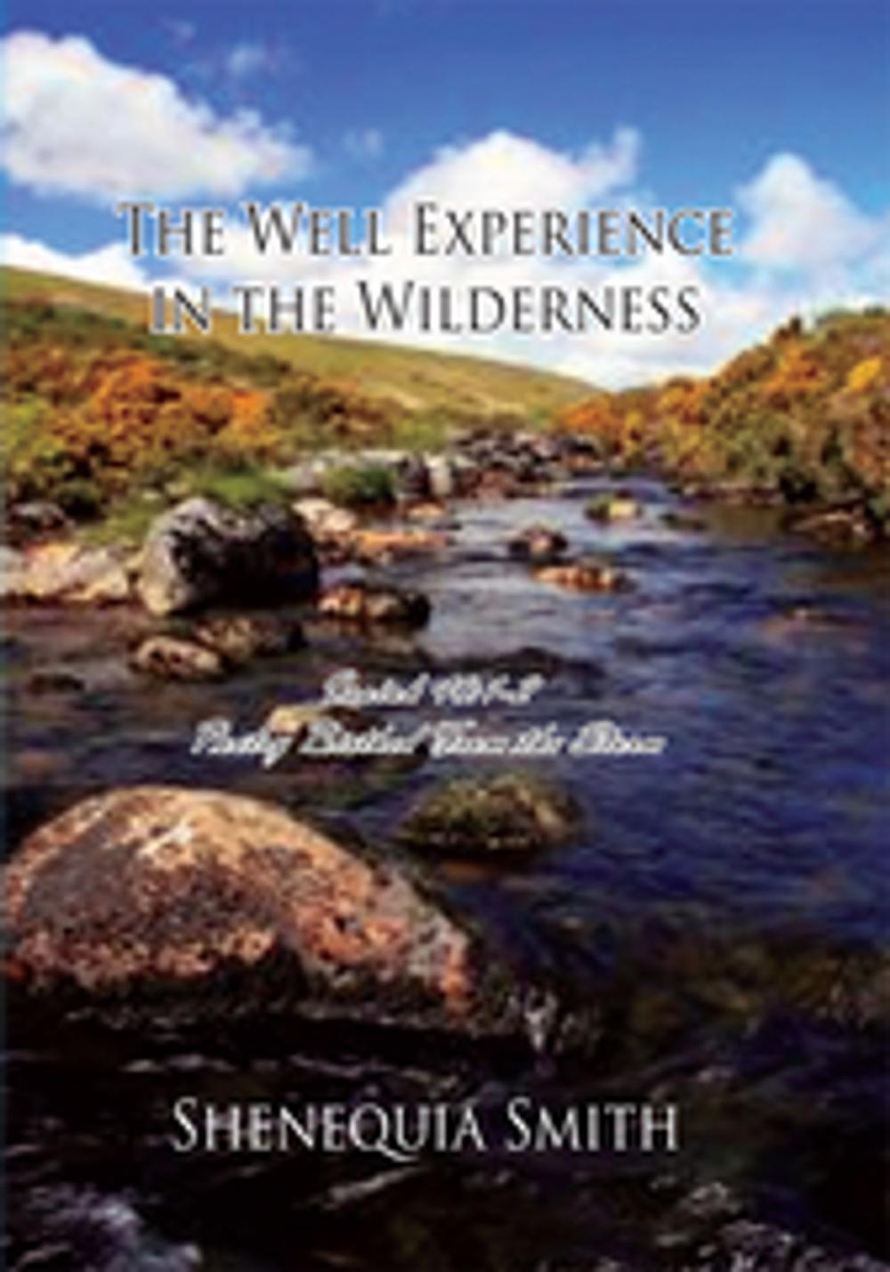 Big bigCover of The Well Experience in the Wilderness