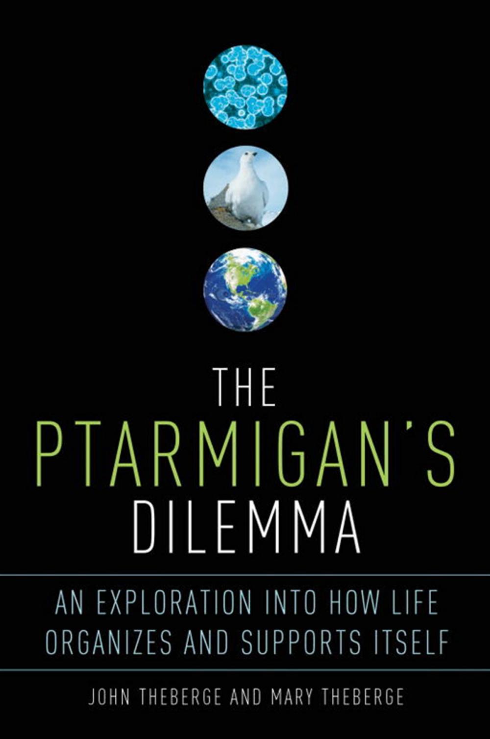 Big bigCover of The Ptarmigan's Dilemma