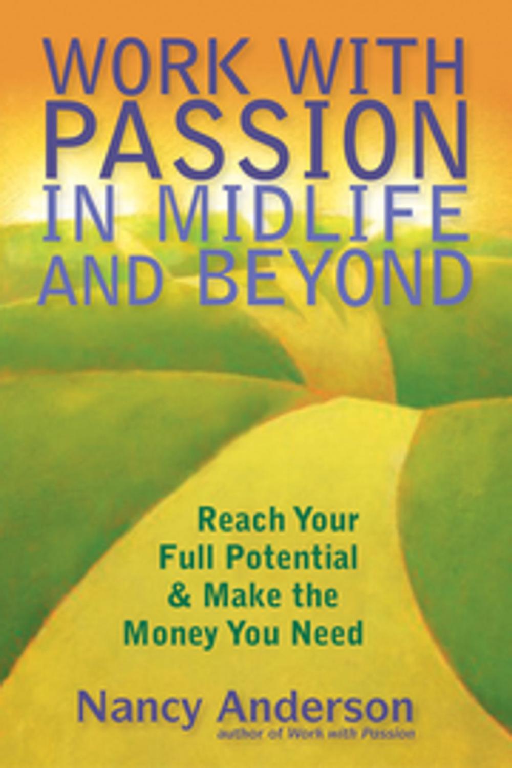 Big bigCover of Work with Passion in Midlife & Beyond