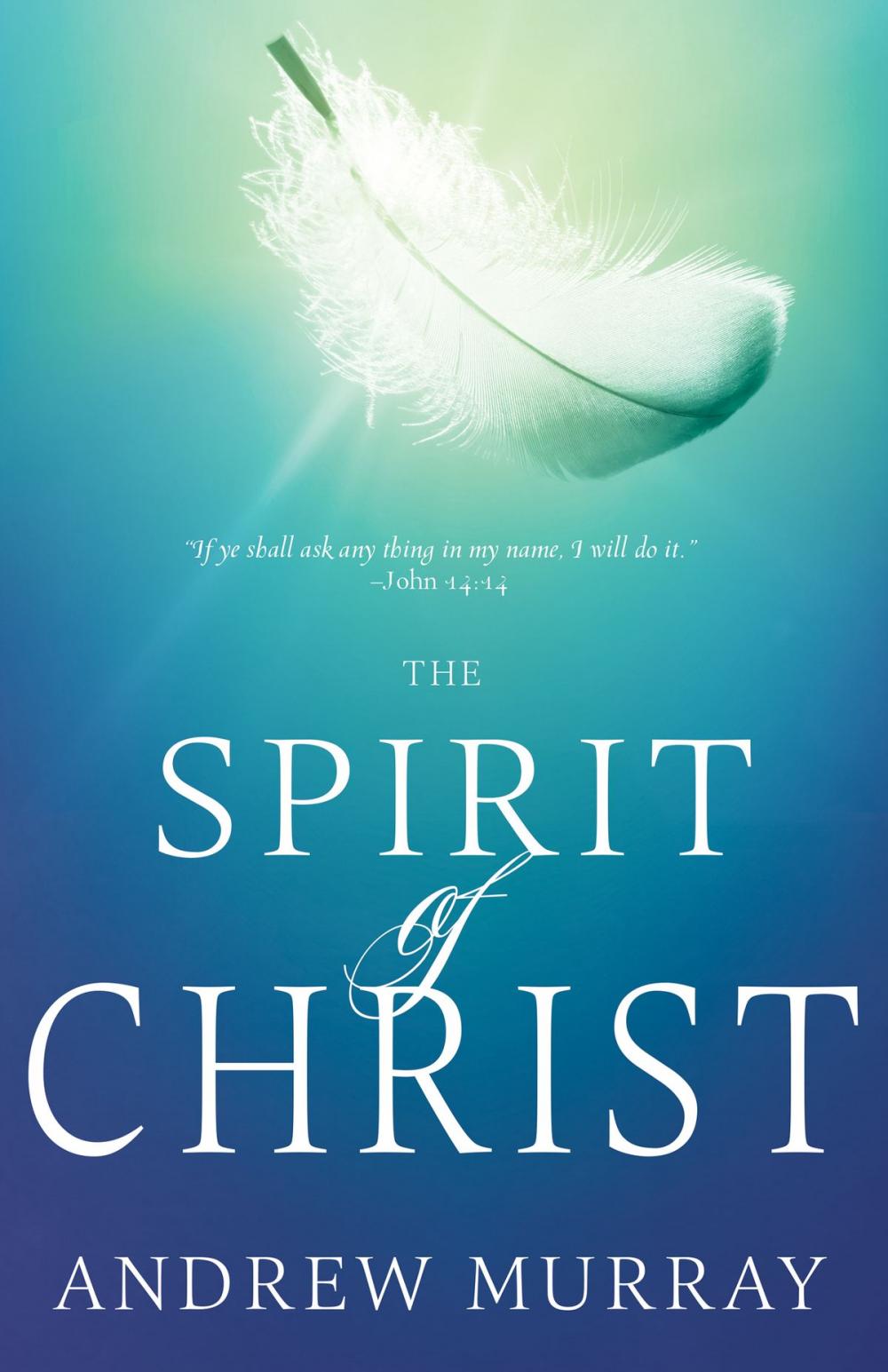 Big bigCover of The Spirit of Christ