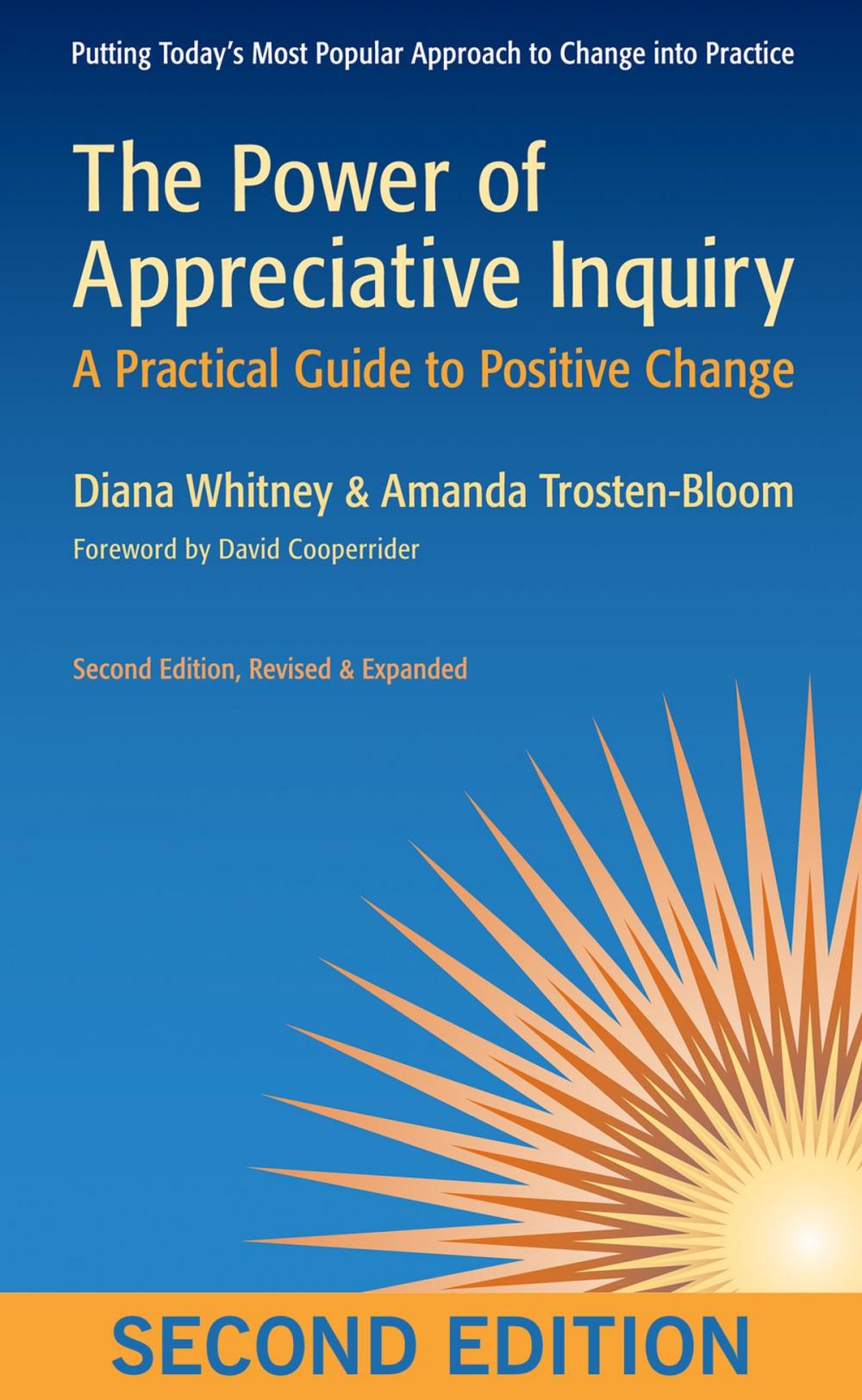 Big bigCover of The Power of Appreciative Inquiry